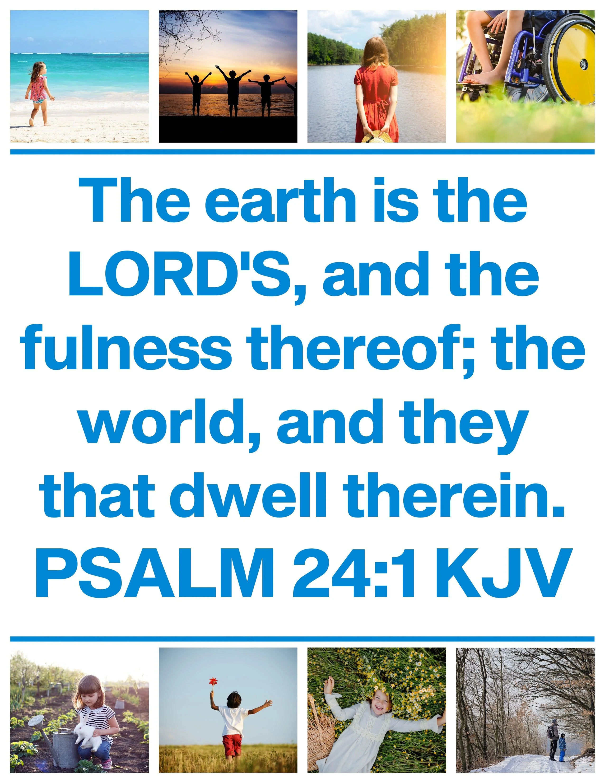 Amazing Nature: 7-Lesson Sunday School Curriculum (download only) - Image 15