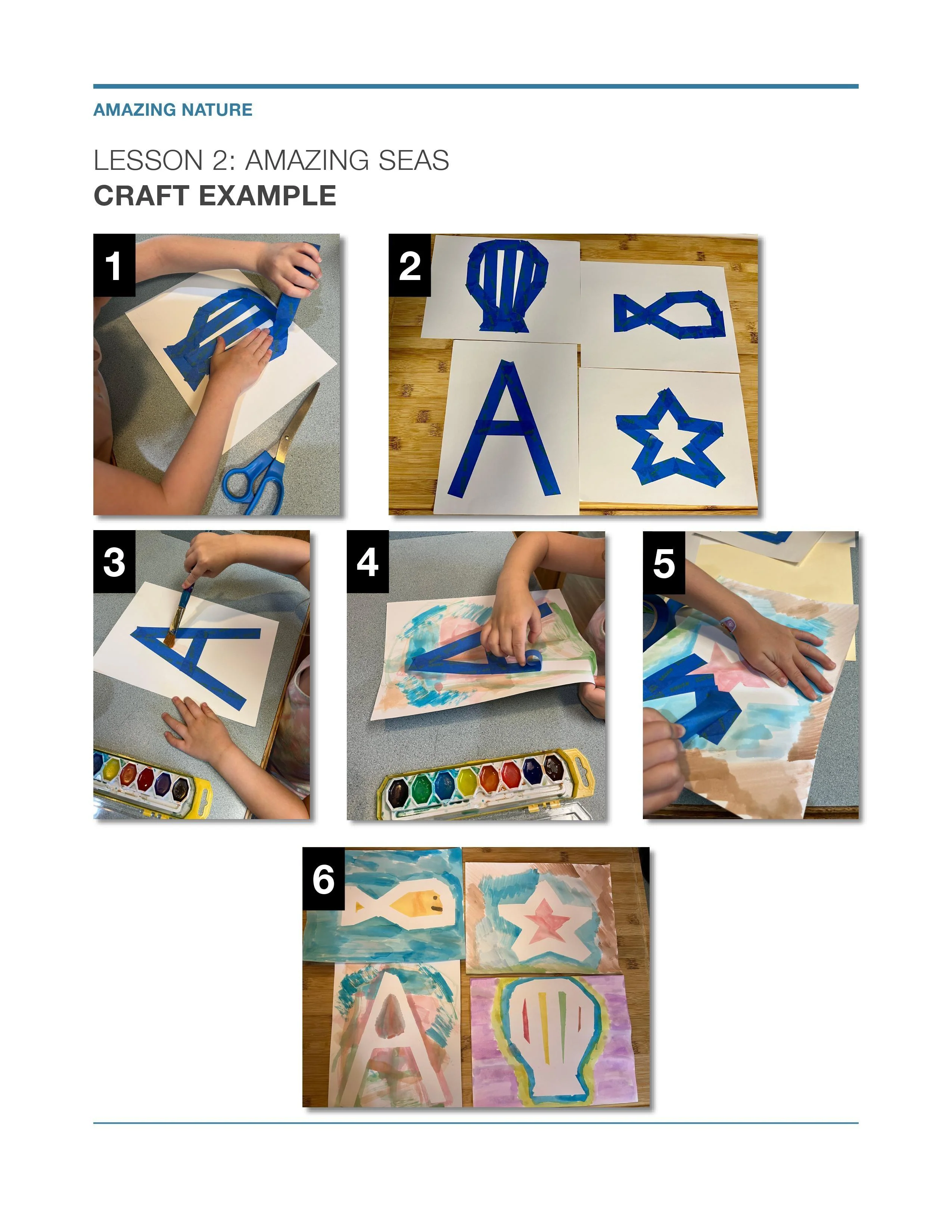 Amazing Nature: 7-Lesson Sunday School Curriculum (download only) - Image 3
