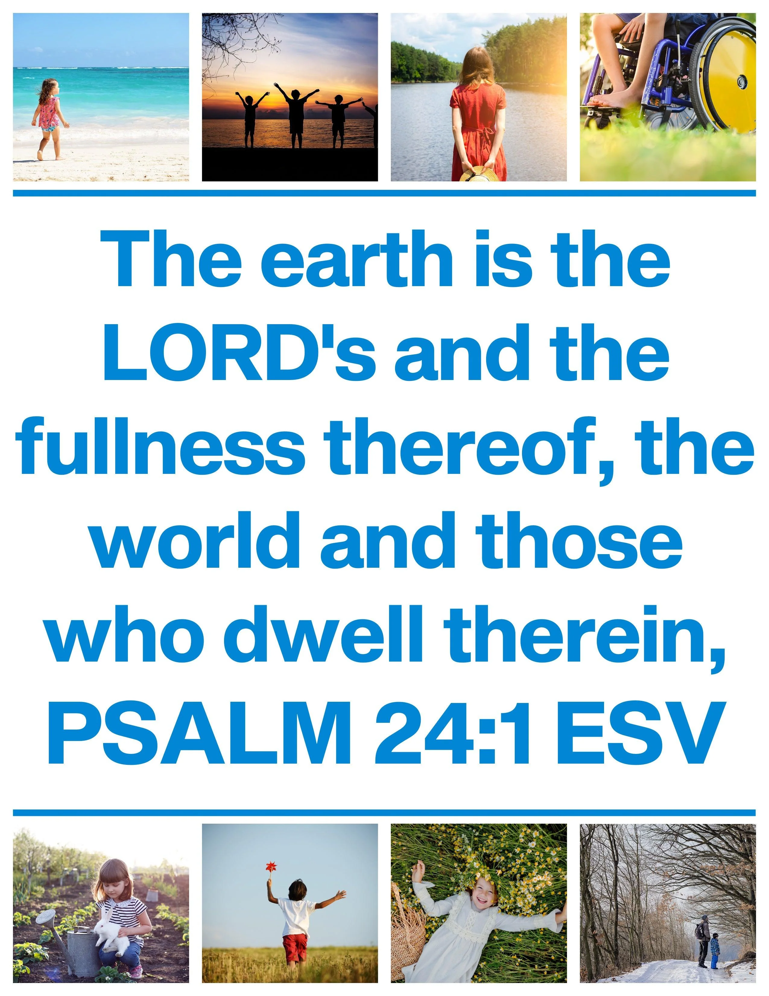 Amazing Nature: 7-Lesson Sunday School Curriculum (download only) - Image 4