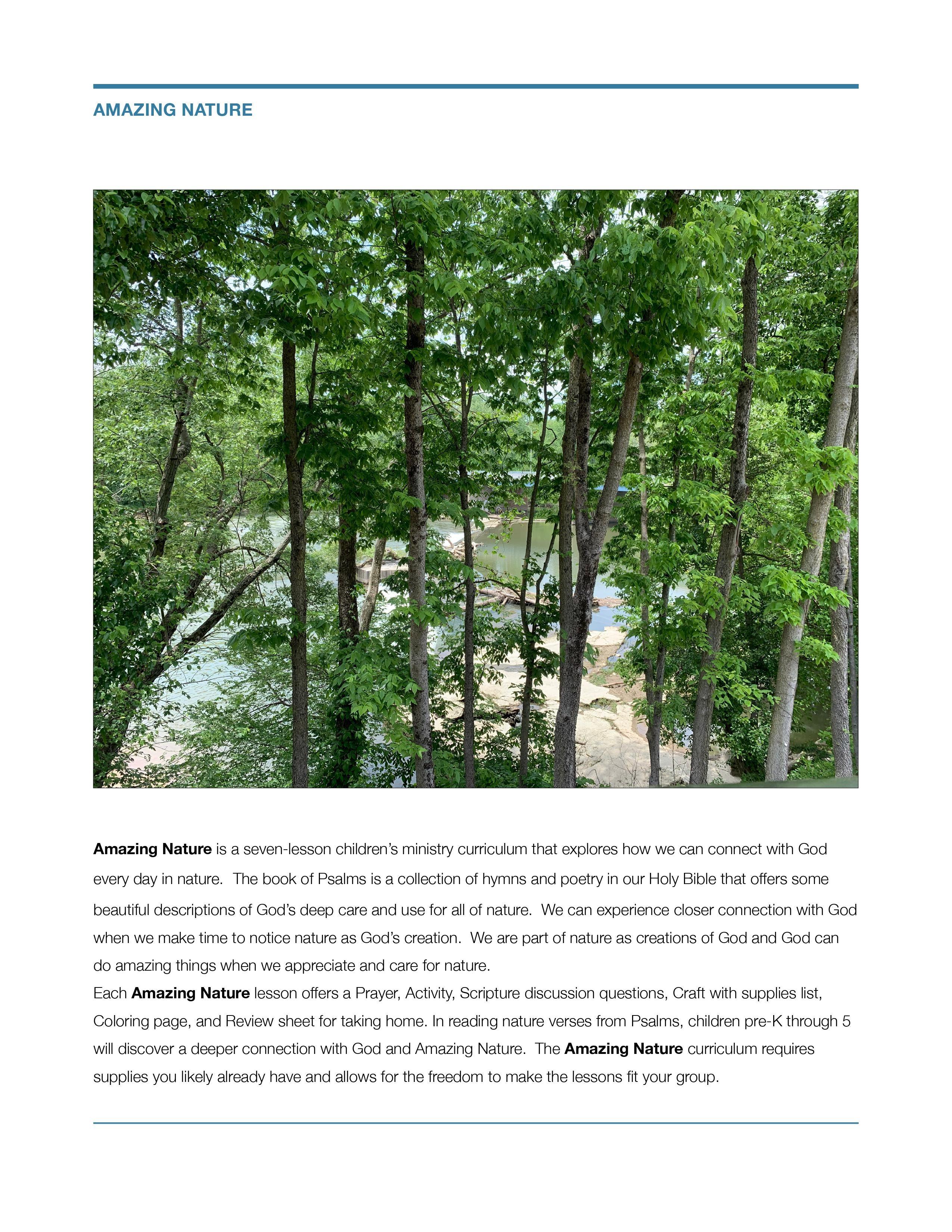 Amazing Nature: 7-Lesson Sunday School Curriculum (download only) - Image 5