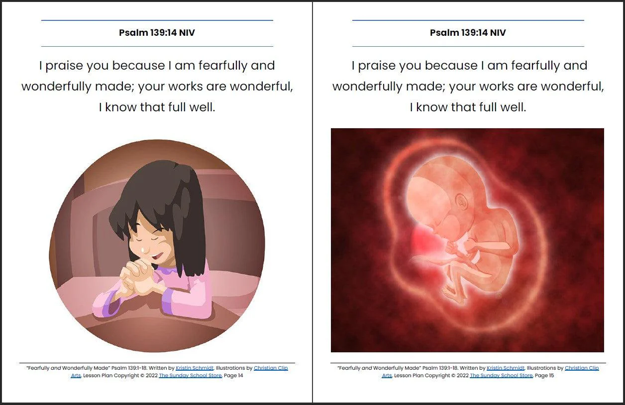 Fearfully & Wonderfully Made (Psalm 139) Printable Bible Lesson & Sunday School Activities - Image 9