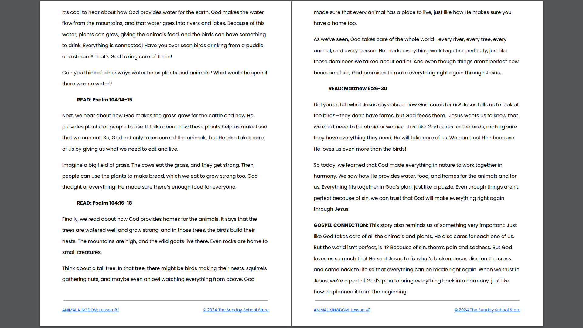 Animal Kingdom: 4-Week Children's Ministry Curriculum (ages 6-12) - Image 6