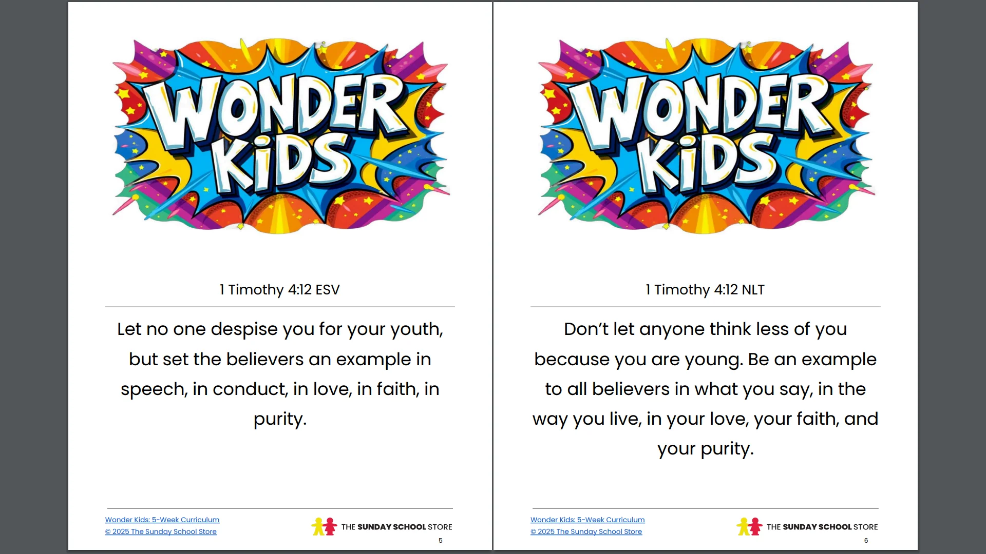 Wonder Kids: 5-Week Children's Ministry Curriculum (ages 6-12) - Image 10